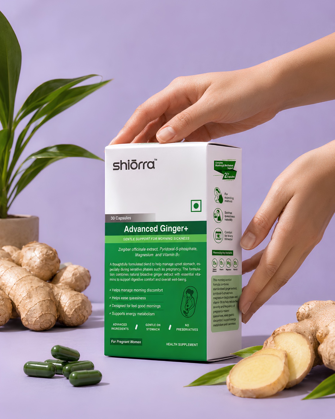 A hand resting on a Shiōrra Advanced Ginger+ pack beside fresh ginger root on a lavender backdrop